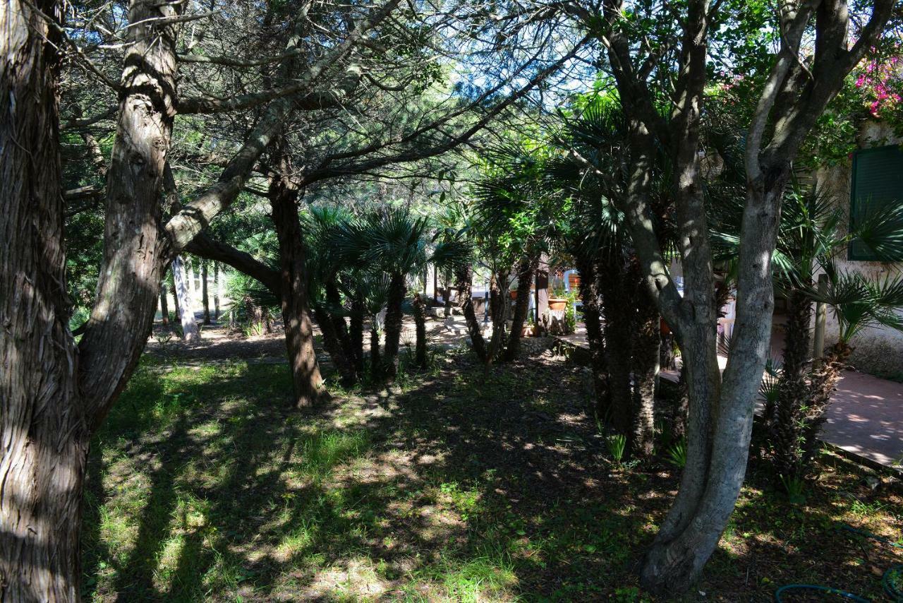 Villa Margherita Alghero Exteriör bild